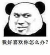 熊猫人 表白 害羞 我好喜欢你怎么办 怎么办