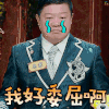 饭局的诱惑 马东 我好委屈啊 委屈 伤心 难过 卖萌 soogif soogif出品