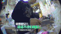 郑爽 可爱 迷人 美女 女神