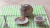 仓鼠 hamster