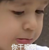 威廉 萌娃 你干嘛啊 可爱 搞笑 逗 沙雕