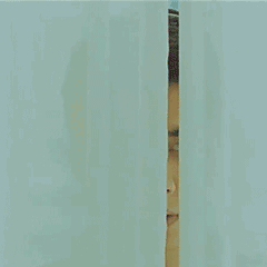 可爱 卡哇伊 有趣 卖萌