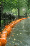 雨   享受 满足 逗比