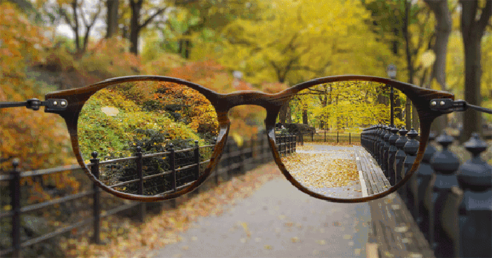 公园里散步 眼镜 秋天 落叶