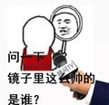 这是为什么 金馆长 瞎问 问一下镜子里这么帅的是谁