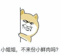 暗中观察 小姐姐 不来份小鲜肉吗 斗图