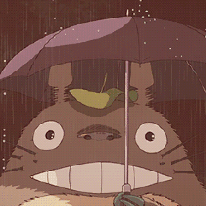 龙猫 打伞 大笑 二次元