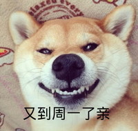 恶搞 萌萌哒 汪星人 又到周一了亲