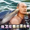 漂亮 搞笑 海水 鲸鱼