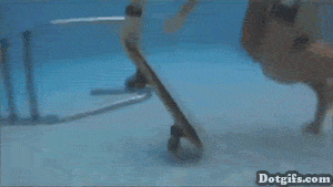 水下 水底 运动 滑板