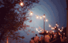 Cinemagraph 灯光 人群 夜景