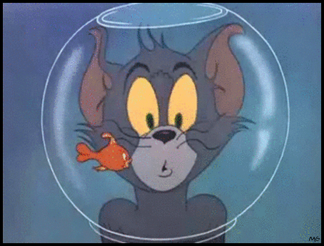 猫和老鼠 汤姆 鱼缸 金鱼 游来游去 卡通 tom and jerry