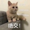 萌宠 喵星人 我生气了 讨厌你 可爱 傲娇