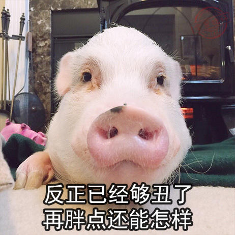 饭饭GIF动态图_饭饭表情_饭饭GIF动图-SOO关于stream搞笑的图图片
