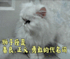狮子座 狮子座是善良 正义 勇敢的代名词