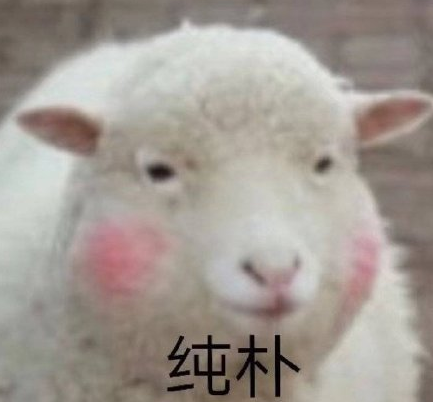 搞笑 沙雕 魔性 文字表情包 大杂烩