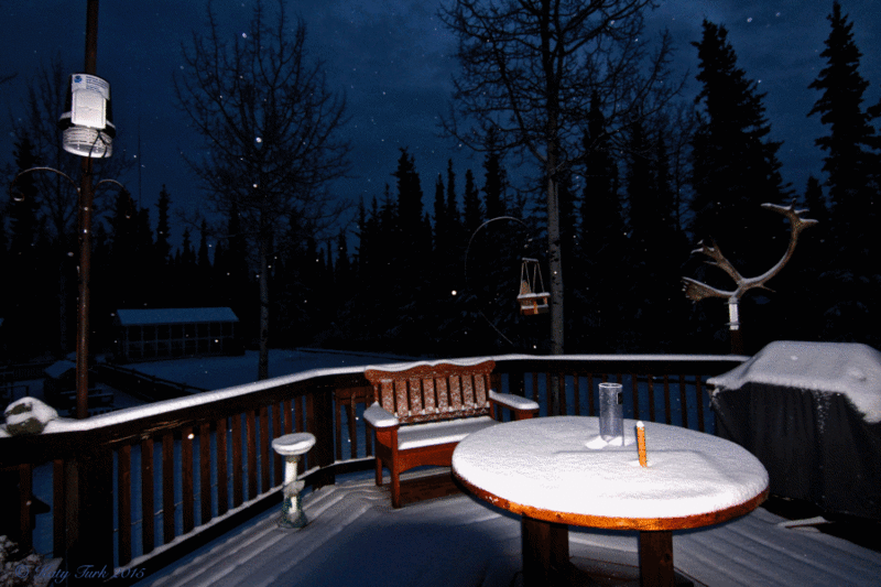 雪天 户外 桌子 庭院