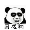斗图 熊猫 困成狗 soogif soogif出品