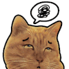 猫咪 晕了 皱眉 胡子