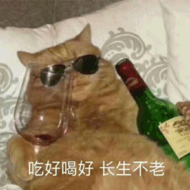 长生不老 猫