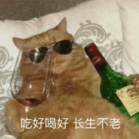 长生不老 猫 可爱 呆萌