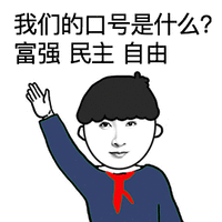 青春有你 杨亘 我们的口号是什么？富强 民主 自由 soogif soogif出品