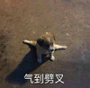 萌宠 汪星人 气到劈叉 生气 搞怪 逗