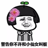 警告你不许和小仙女叫板 金馆长 花朵 绿叶