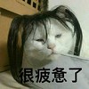 萌宠 喵星人 很疲倦了 精疲力竭 可爱 憨憨