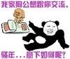 熊猫人 二货 渣渣 骚年