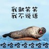 海豹 贱样 搞笑 我就笑笑我不说话