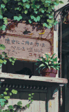 小猫咪 小女孩 可爱 温暖 清净