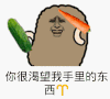 黄瓜 胡萝卜 金馆长 你很渴望 我手里的东西