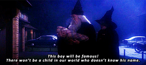 哈利波特 Harry Potter 邓布利多 麦格教授 理查德·哈里斯 玛姬·史密斯 婴儿 宝宝