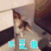 不是我