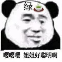 暴漫 熊猫头 姐姐好聪明啊 羡慕 绿茶语录 搞怪 逗