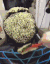 染发 方便面发型 照镜子 梳头发