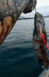 海水 逗逼 尴尬 雷人