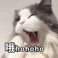 喵星人 萌宠 可爱 猫咪 逗 文字表情包