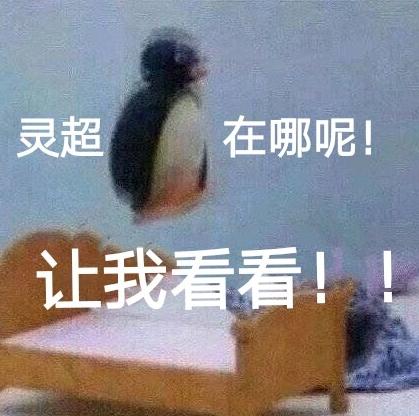 迷妹 搞笑 灵超 可爱 文字表情包