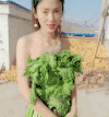 菜叶 围在身上 当做衣服 奢侈