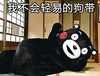 熊猫 脸红 可爱 我不会轻易狗带