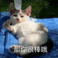 那你很棒哦 猫 赞 可爱 呆萌