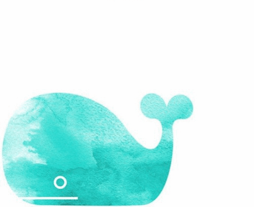 鲸鱼 动物 海洋 蓝色
