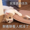 萌宠 猫星人 聊着聊着人就没了 我是真的忧伤 呆萌 可爱