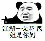 熊猫人gif聊天gif可笑gif江湖一朵花凤姐是你妈gif