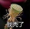 文字表情包 中老年表情 搞笑 我X了 逗