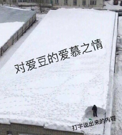 追星女孩日常 沙雕 搞笑 萌 文字表情包