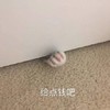 萌宠 猫星人 给点钱吧 搞怪 沙雕 斗图
