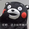 熊本熊 红脸蛋 卡通 张嘴 哎呦，这小伙咋嫩帅